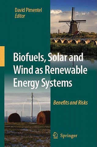 Kniha Biofuels, Solar and Wind as Renewable Energy Systems David Pimentel