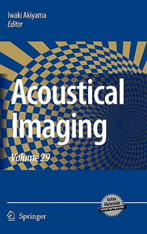 Carte Acoustical Imaging Iwaki Akiyama