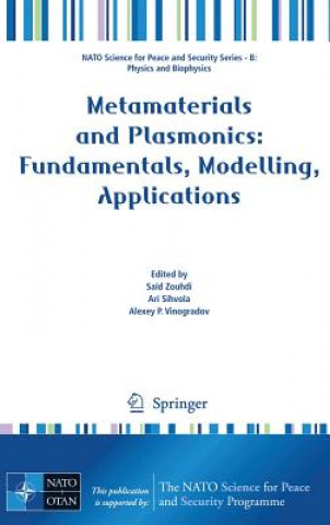 Kniha Metamaterials and Plasmonics: Fundamentals, Modelling, Applications Sa