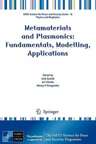 Kniha Metamaterials and Plasmonics: Fundamentals, Modelling, Applications Sa