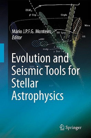 Könyv Evolution and Seismic Tools for Stellar Astrophysics Mário Joao P. F. G. Monteiro