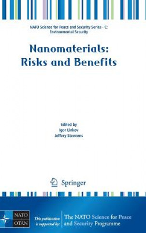 Buch Nanomaterials Igor Linkov