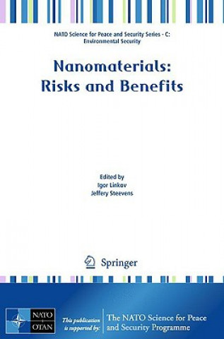 Buch Nanomaterials Igor Linkov