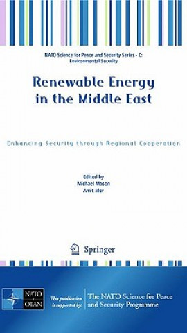 Könyv Renewable Energy in the Middle East Michael Mason