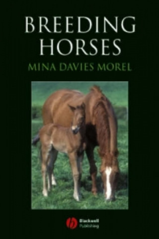 Könyv Breeding Horses Mina Davies-Morel