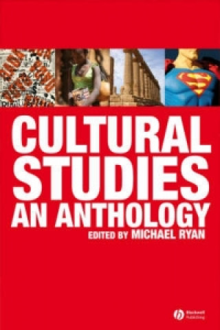 Книга Cultural Studies Michael Ryan