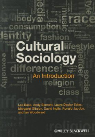 Carte Cultural Sociology - An Introduction Les Back