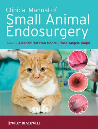 Könyv Clinical Manual of Small Animal Endosurgery Alasdair Hotston Moore