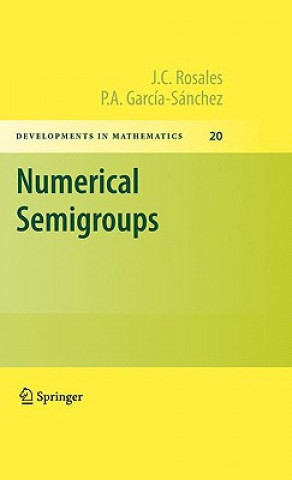 Carte Numerical Semigroups J. C. Rosales