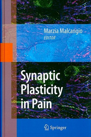 Buch Synaptic Plasticity in Pain Marzia Malcangio