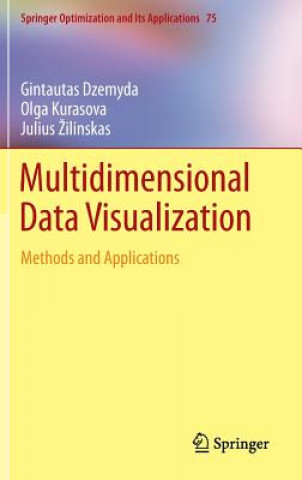 Könyv Multidimensional Data Visualization Gintautas Dzemyda