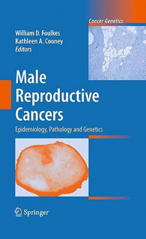 Buch Male Reproductive Cancers William D. Foulkes