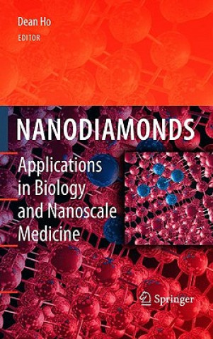 Kniha Nanodiamonds Dean Ho