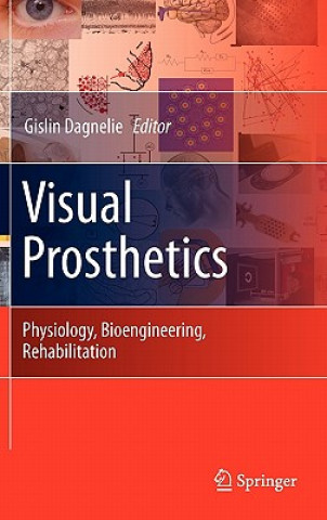 Książka Visual Prosthetics Gislin Dagnelie