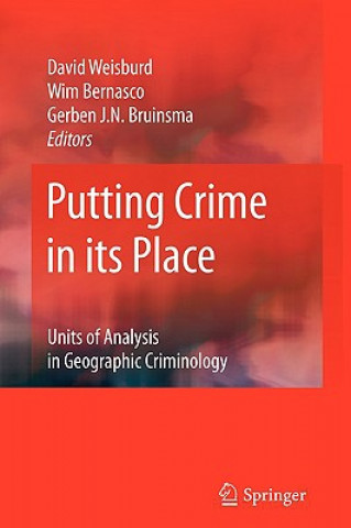 Libro Putting Crime in its Place David Weisburd