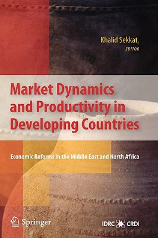 Kniha Market Dynamics and Productivity in Developing Countries Khalid Sekkat