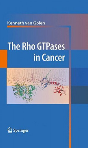 Buch Rho GTPases in Cancer Kenneth Van Golen