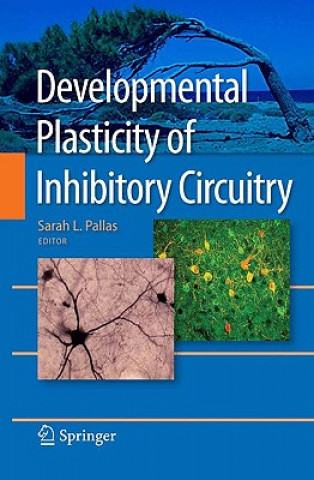 Kniha Developmental Plasticity of Inhibitory Circuitry Sarah L. Pallas