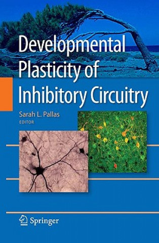 Книга Developmental Plasticity of Inhibitory Circuitry Sarah L. Pallas