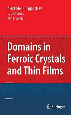 Könyv Domains in Ferroic Crystals and Thin Films Alexander K. Tagantsev