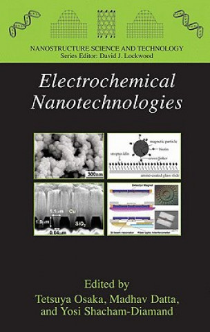 Book Electrochemical Nanotechnologies Tetsuya Osaka