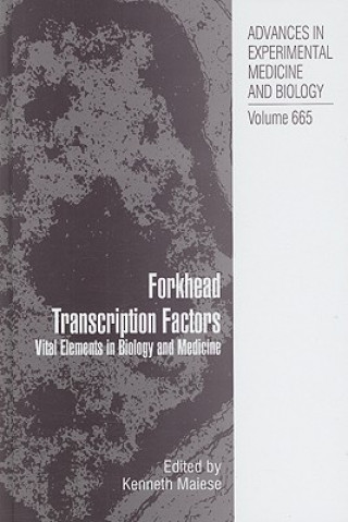 Kniha Forkhead Transcription Factors Kenneth Maiese