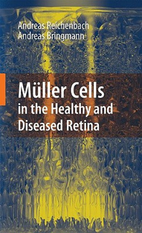 Kniha Muller Cells in the Healthy and Diseased Retina Andreas Reichenbach