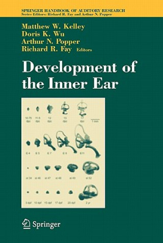 Knjiga Development of the Inner Ear Matthew Kelley