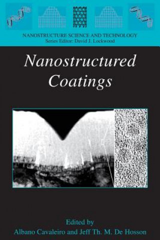 Buch Nanostructured Coatings Albano Cavaleiro