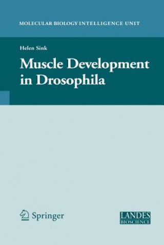Książka Muscle Development in Drosophilia Helen Sink