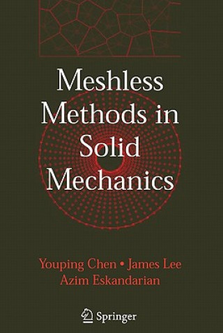 Könyv Meshless Methods in Solid Mechanics Youping Chen