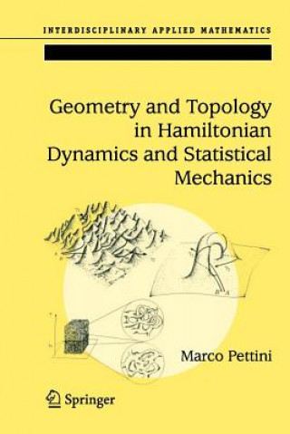 Book Geometry and Topology in Hamiltonian Dynamics and Statistical Mechanics Marco Pettini