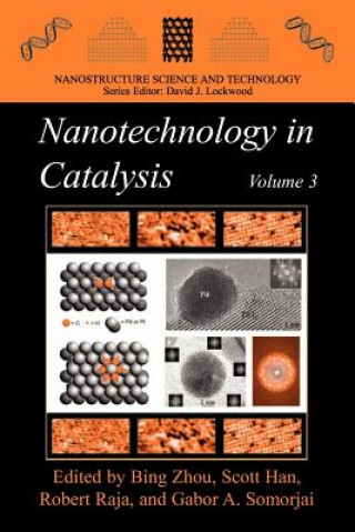 Książka Nanotechnology in Catalysis 3 Bing Zhou