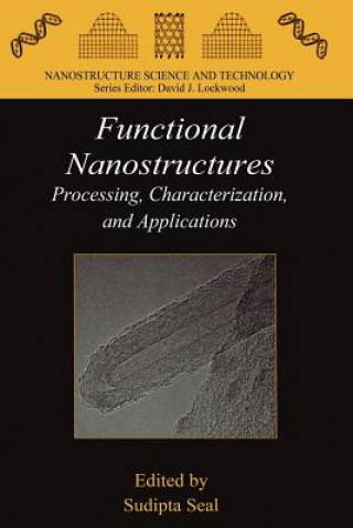 Kniha Functional Nanostructures Sudipta Seal