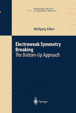 Книга Electroweak Symmetry Breaking Wolfgang Kilian