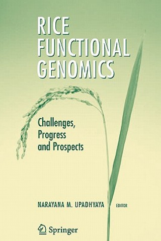 Knjiga Rice Functional Genomics Narayana M. Upadhyaya