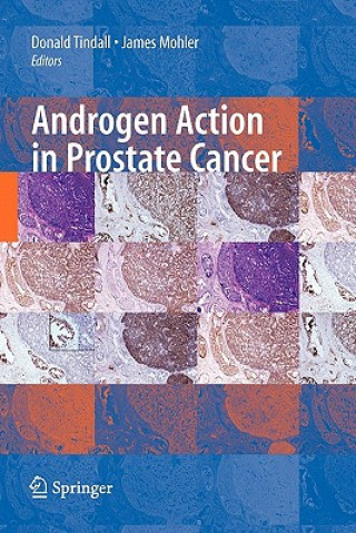 Kniha Androgen Action in Prostate Cancer Donald Tindall