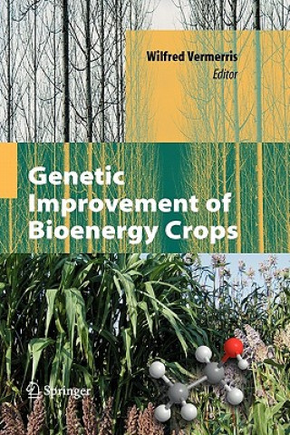 Livre Genetic Improvement of Bioenergy Crops Wilfred Vermerris