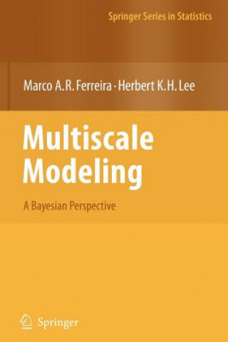 Livre Multiscale Modeling Marco A.R. Ferreira