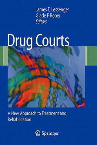 Kniha Drug Courts James E. Lessenger