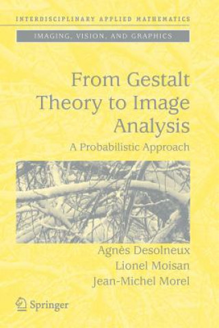 Kniha From Gestalt Theory to Image Analysis Agn
