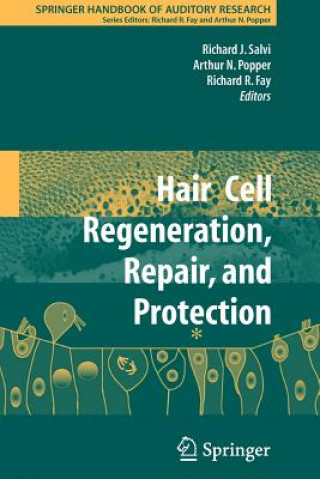Könyv Hair Cell Regeneration, Repair, and Protection Richard J. Salvi