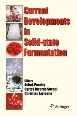 Kniha Current Developments in Solid-state Fermentation Ashok Pandey