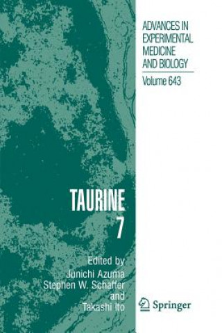 Buch Taurine 7 Junichi Azuma