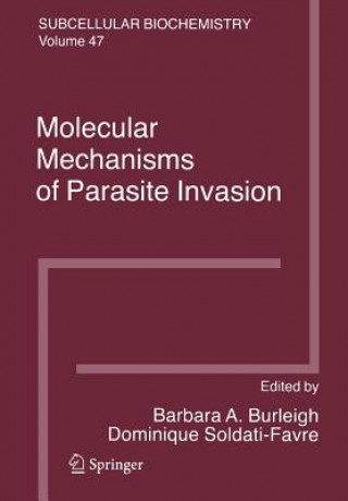 Kniha Molecular Mechanisms of Parasite Invasion Barbara A. Burleigh