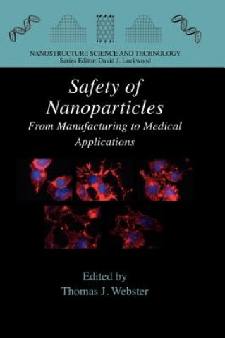 Książka Safety of Nanoparticles Thomas J. Webster