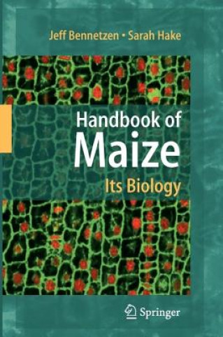 Buch Handbook of Maize: Its Biology Jeff L. Bennetzen