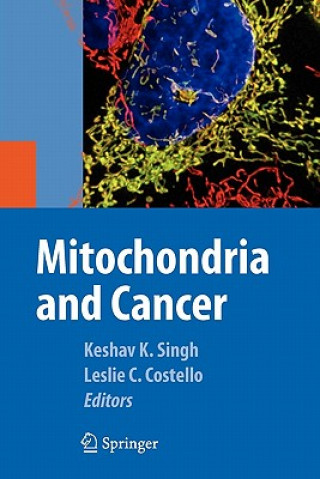 Kniha Mitochondria and Cancer Keshav K. Singh