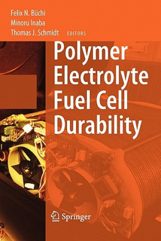 Kniha Polymer Electrolyte Fuel Cell Durability Felix N. Büchi