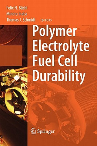 Könyv Polymer Electrolyte Fuel Cell Durability Felix N. Büchi